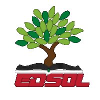 Edsol